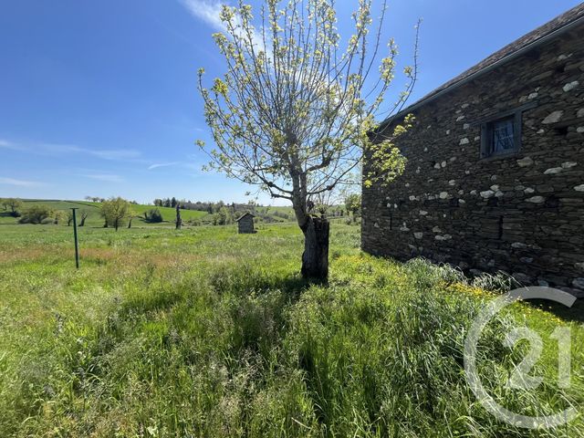 maison à vendre - 4 pièces - 97.8 m2 - MELJAC - 12 - MIDI-PYRENEES - Century 21 Lapérouse