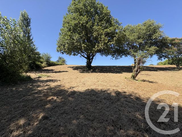 terrain à vendre - 2928.0 m2 - LESCURE D ALBIGEOIS - 81 - MIDI-PYRENEES - Century 21 Lapérouse