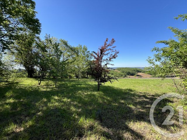 maison à vendre - 5 pièces - 470.0 m2 - LABESSIERE CANDEIL - 81 - MIDI-PYRENEES - Century 21 Lapérouse