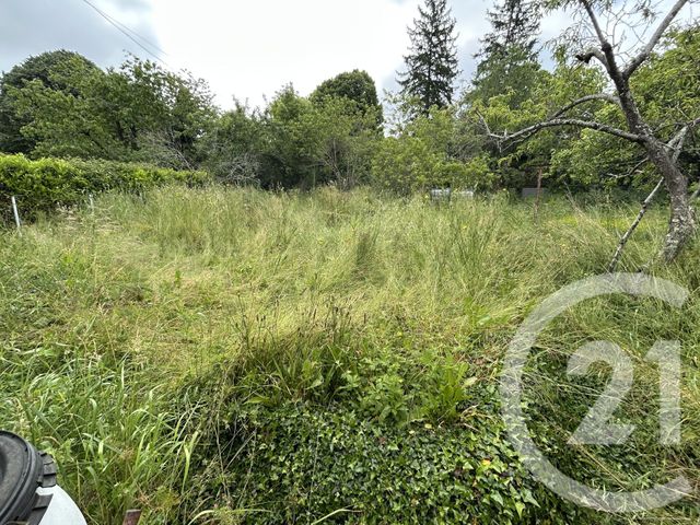 maison à vendre - 6 pièces - 187.56 m2 - MOULARES - 81 - MIDI-PYRENEES - Century 21 Lapérouse
