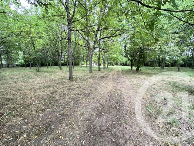 terrain à vendre - 11849.0 m2 - ALBI - 81 - MIDI-PYRENEES - Century 21 Lapérouse
