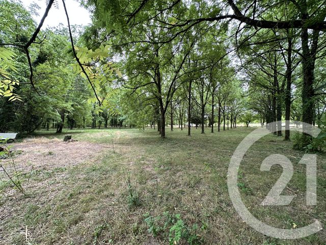 terrain à vendre - 11849.0 m2 - ALBI - 81 - MIDI-PYRENEES - Century 21 Lapérouse