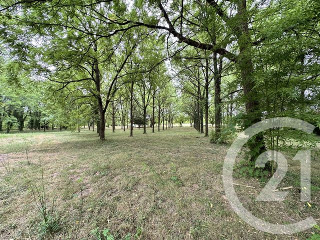 terrain à vendre - 11849.0 m2 - ALBI - 81 - MIDI-PYRENEES - Century 21 Lapérouse
