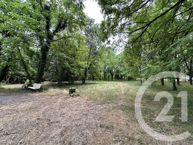 terrain à vendre - 11849.0 m2 - ALBI - 81 - MIDI-PYRENEES - Century 21 Lapérouse