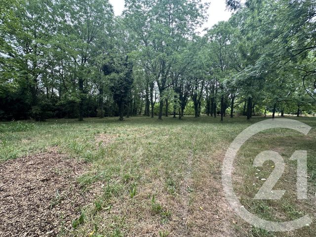 terrain à vendre - 11849.0 m2 - ALBI - 81 - MIDI-PYRENEES - Century 21 Lapérouse